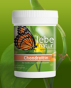 Chondroitin vegan 90er